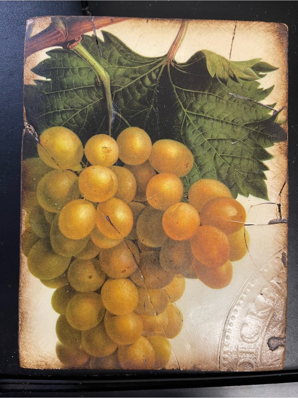 SID DICKENS T-110 GRAPES Memory Block Music Tile Wall Art 2003 Garden of Light